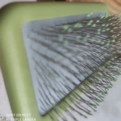 7df0b103-f26a-4e8f-aa9e-b83bfbc33d88