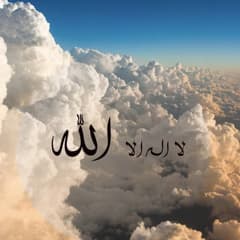 6ba041f2-8af9-49ff-943c-5fa9e9dd0a3b