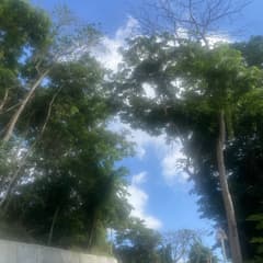 6cfc5955-6d28-431d-8135-fb7a3ce43539