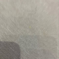 ad87ea57-d350-4207-9577-82c858894017