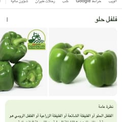 3e6b6c66-ee3d-4fac-b96b-fbe53e3766df