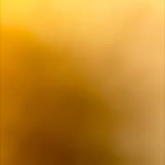 ff80b88c-5948-4c18-8151-989b75053467