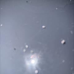 d6df2231-71cc-41ac-9b9c-033c030a760f