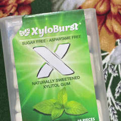 ページ 1 - レビュー - Xyloburst（ザイロバースト）, キシリトール
