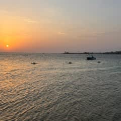 217733eb-b4b5-4336-9f91-98df9194e23f