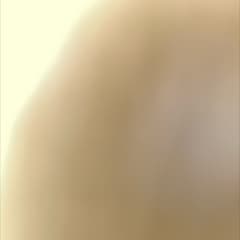 3ff10d76-f918-4ac2-9042-250b0f569e20