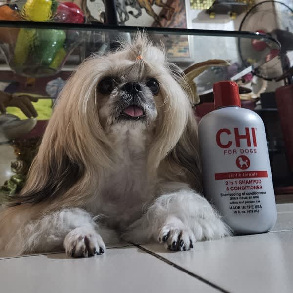 ページ 1 - レビュー - CHI for Dogs（シー・エイチ・アイ フォー