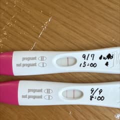 8ec78614-91a8-4021-a364-fb33209b08ea