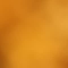 513244f8-5dc4-4dbb-a21b-651f916272f2