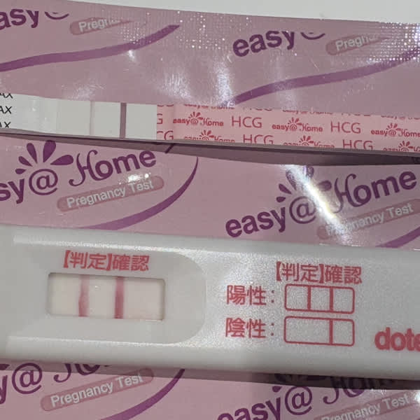 Easy@Home 100 Ovulation + 20 Pregnancy Test Strips Combo Pack - LH & HCG Fertility Tracking