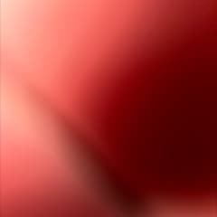 b6998920-f965-40eb-9b0b-0563d8bdb670