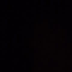 d6c8b999-80f9-4ec4-b55a-558ce4128056