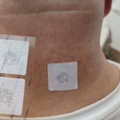 ae31b8aa-1277-4f16-bbbf-6fda0ac12ecb