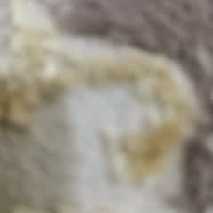 95998269-cc04-4f4f-ac9b-4159f06053c6