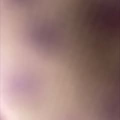 4e8328f3-7a00-4e84-8240-0e5f0e5ed8f8