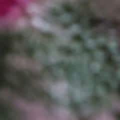 86cacfe2-9d14-424b-a910-6539957b8c01