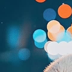 13ae0f67-bbb5-48a6-9292-a8d9ccd1c90c