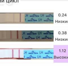 184d2a9a-8fc2-4f18-a2f7-b460a89bd184