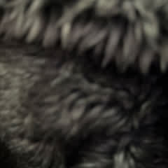 04c234f4-3eb4-4efa-a288-0bce072c736e