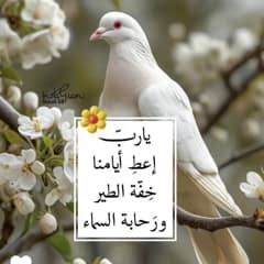 4726b51d-6fa5-4c2b-9538-20ed270e9828