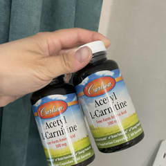 canu u take acetyl l carnitine with metformin ACETYL L-CARNITINE 500 mg