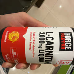 l carnitina antes e depois do treino Quando devo tomar L-Carnitina?