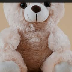 0e909a6b-9960-45ac-a050-ed50e48ed630