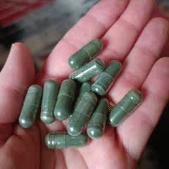 0ecbc09b-d12d-42db-85bb-1078b8ab79e5