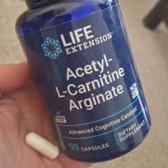 cancer acetyl l-carnitine arginate Page 1 - Reviews - Life Extension, ацетил-L-карнитин аргинат, 90 вегетарианских капсул Glowy Skin Plix Review Nutrifactor Glutazon Capsules Optimized Magnesium:Small 30 Servings