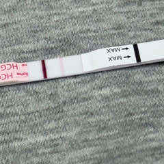 1efbe4af-89be-4fad-be57-4f42d8a272a2