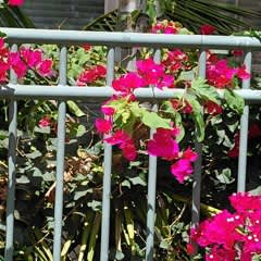 43f6d0ef-47c7-4ea0-94f2-d041dfddf930