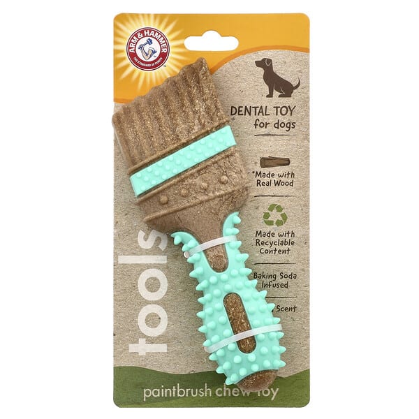 Arm & Hammer, Dental Toy For Dogs, Paintbrush, 1 Toy (Discontinued Item)