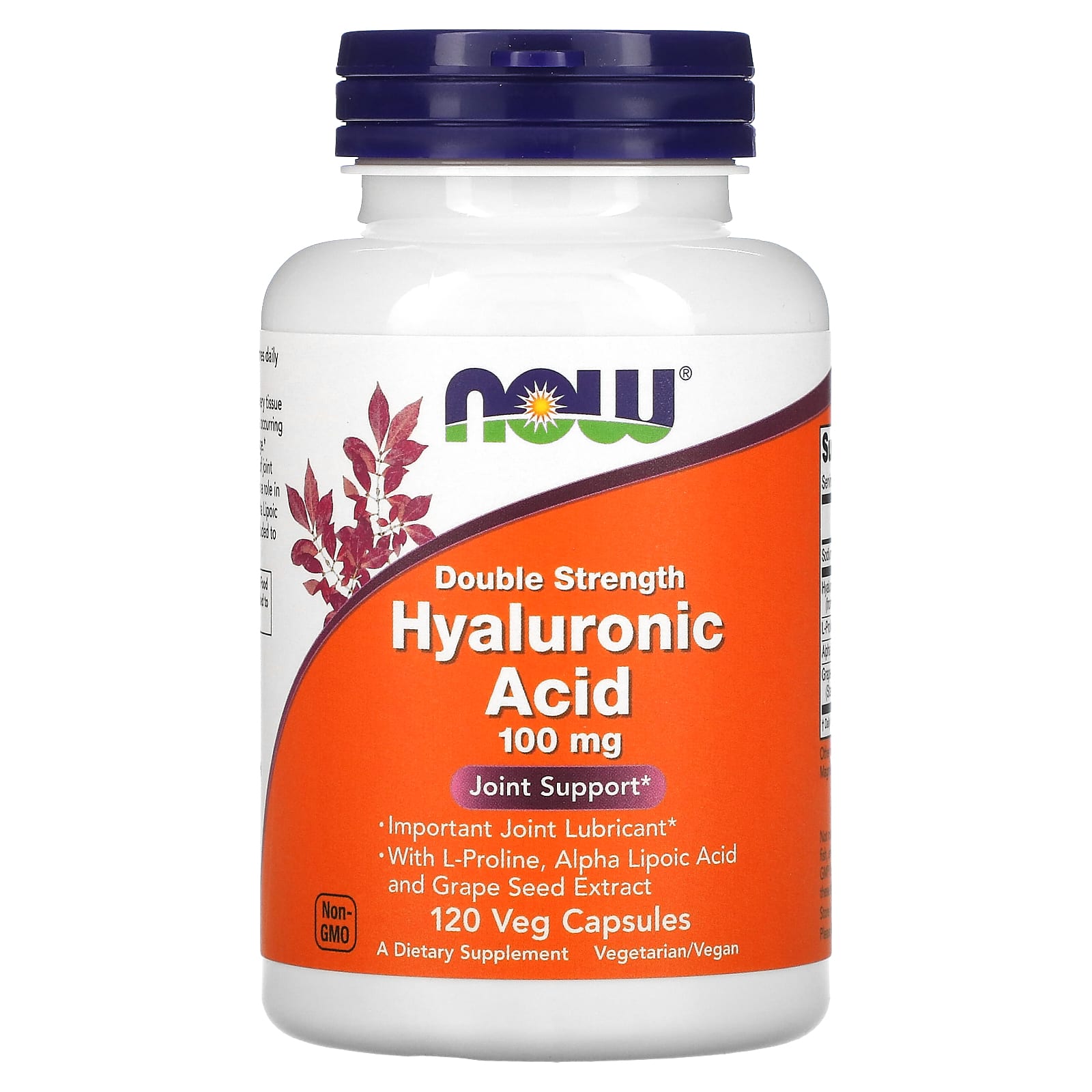 NOW Foods Hyaluronic Acid Double Strength 100 mg 120 Veg Capsules
