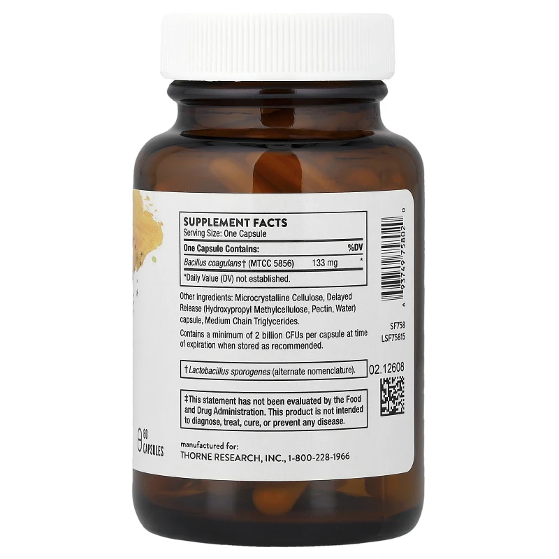 Bacillus Coagulans, Probiótico, 60 Cápsulas, Thorne
