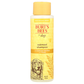Burt's Bees, 含膠態燕麥粉和蜂蜜的燕麥洗髮水，狗用，16 液量盎司（473 毫升）