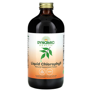 Dynamic Health, 液體葉綠素，天然留蘭香香味，100 毫克，16 液量盎司（473 毫升）