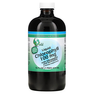 World Organic, 含綠薄荷和甘油的液體葉綠素，100 毫克，16 液量盎司（474 毫升）